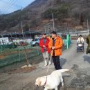 천하온식품 네이버블로그