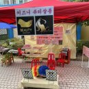 살롱 예뻐져라