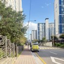 (주)트라이얼코리아 김해점 | 김해 혼주 한복 대여 종착지 효우제 방문후기 [내돈내산]