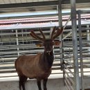 저동농장 이미지