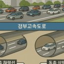 메인(main)) 이미지