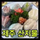 산지물 | 제주공항 근처 맛집 산지물, 가성비 최고의 스페셜 코스요리 솔직 후기!