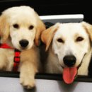 달밭코티지 | 아이와 함께가기 좋은 제주 숙소, 두번째