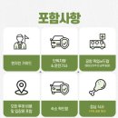 동그라미여행사 | 보홀 육상투어 코스 가격 현지 여행사 보홀지킴이 후기