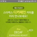 비나 이미지