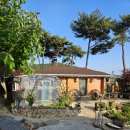 솔토락 팬션 이미지