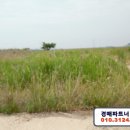 초락2리마을회관 이미지