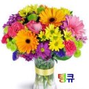 감사합니다