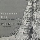 시온메드 이미지