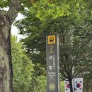 서초대로25길 85 | 윤소화실 | 성인 취미 미술, 아크릴 원데이클래스, 방배화실