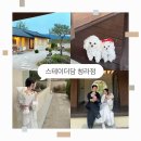 네모강아지 | 청도애견동반펜션 스테이더담 청라점 | 강아지와 함께 즐기고 온 추천 후기