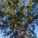 자뭇골두위봉입구 이미지