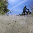 한강공원 난지캠핑장 이미지