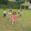 들놀이공원 이미지