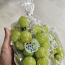 삼정농원 이미지