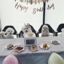 루이야 학교가자 이미지