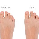 힘내라정형외과병원