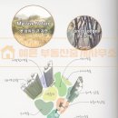 뜰마루마당공원 네이버블로그