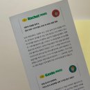 네이티브영어회화B | 찐 원어민이 쓰는 표현을 담은 '네이티브 영어회화 이디엄 101' 후기