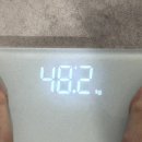 워너비 동물병원 | 팔 람스 통증 가격 효과 2달차 후기