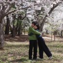 고래등회식당 이미지