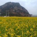 산방산 머물다 이미지