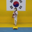 한체대 석사 태권도 이미지