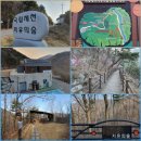 (사)한국농아인협회 경상북도협회 김천시지회 | 1달간 겨울철 화목보일러 사용 안전점검강화&amp;산림청 한국산림복지진흥원 국립제천치유의숲, 사상체질차테