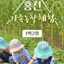 홍천농장 이미지