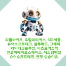 우림그래피