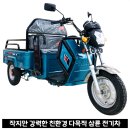 타니전동차 | 농번기 경운기를 대신할 수 있는 친환경 소형 3륜 화물 전동차 &#39;YL-타니&#39; 배송 후기-경북 안동시
