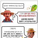 초산제 | [상추/청벌레/총채/두더지] 옥케이 찐사용후기 - 경매장이랑 사이가 좋아진 이유