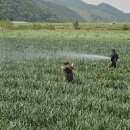 장수군농업기술센타 이미지