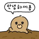 진성쭈꾸미 네이버블로그