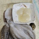 홈베이킹 제빵(주간) 네이버블로그