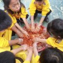 원평1로 이미지