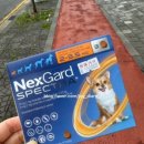 신제주동물약국 이미지