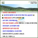 기준태양광발전소 이미지