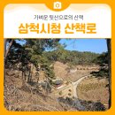 삼척시청 | 가벼운 뒷산으로의 산책, 삼척시청 뒷 산책로 | 삼척 가볼만한곳