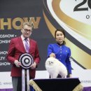 펫 탑 클래스 이미지