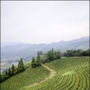 수진한옥 이미지