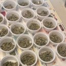 본죽 엔 비빔밥 카페 이미지