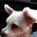 인커뮤니케이션 이미지