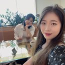 서진도식당 | 🇭🇰 홍콩에서 유학생활하며 먹고 논 기록 #6