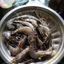 타이거상사 이미지