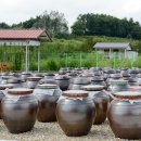 부평마을 이미지