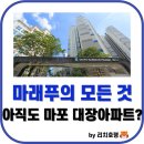 공덕 SK 리더스뷰 103동 어린이놀이터 | 마래푸가 마래푸했다(feat.마포대장아파트)