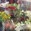 연세MY바른이치과의원 이미지