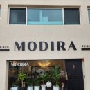 [후기] 울산 중구 남외동 모디라(MODIRA) 방문 후기