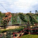 장미공원A 이미지